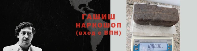 стаф Абаза