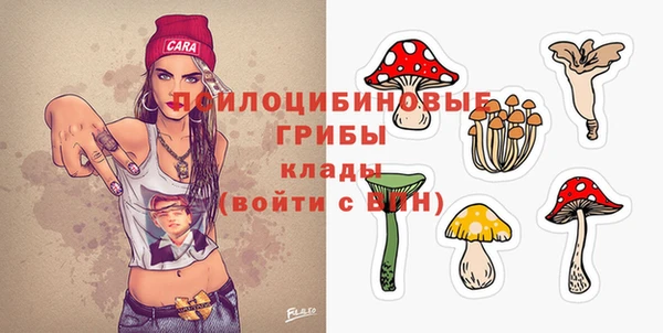 винт Абинск