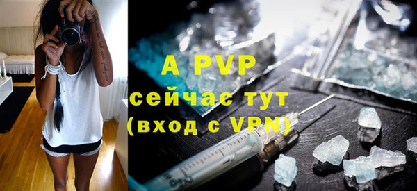 винт Абинск