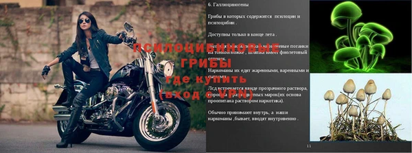 винт Абинск