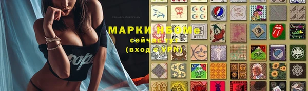 стаф Абаза